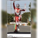 フリークスジャパンのレビュー！ターサージャパンの練習用だけどウルトラマラソンにも適したシューズ！