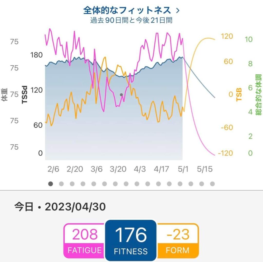 青は基礎体力、赤は短期疲労、黄色は体調