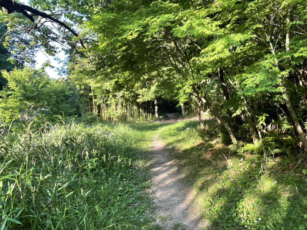 東山公園のオフロードへ